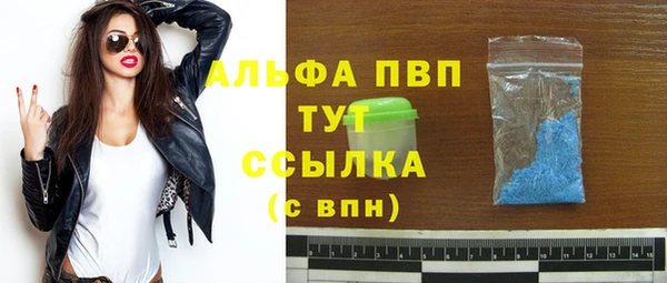 дживик Белокуриха