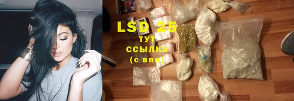 дживик Белокуриха