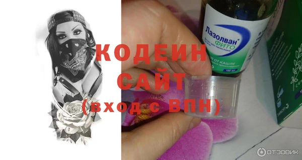 дживик Белокуриха