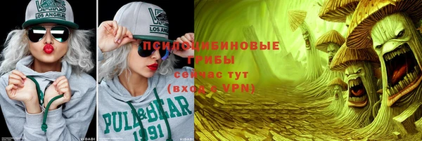 дживик Белокуриха