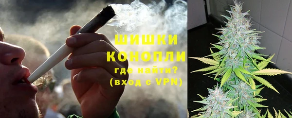 дживик Белокуриха